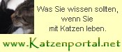 www.Katzenportal.net Das ganzheitliche Katzenportal