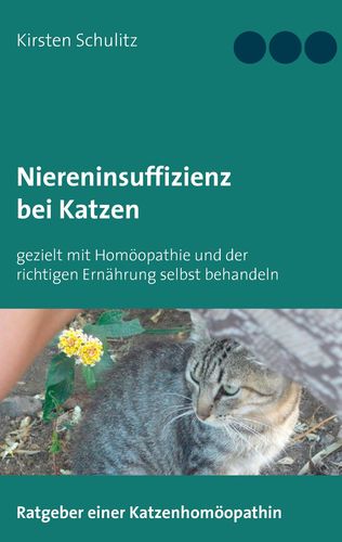 Ratgeber Niereninsuffizienz bei Katzen und Homöopathie